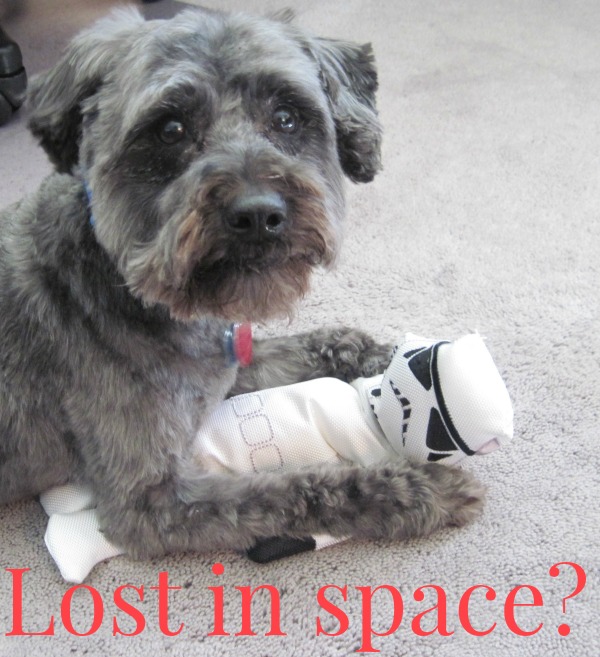 Lost in Space?