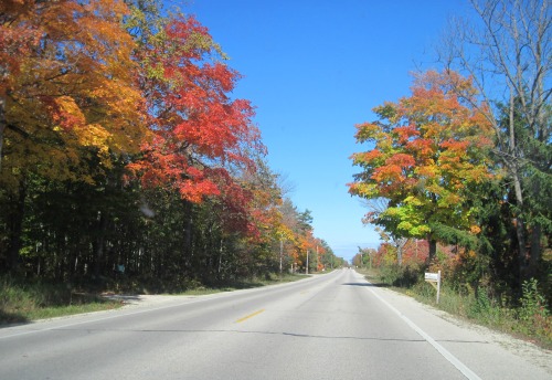 Taking a Fall Drive