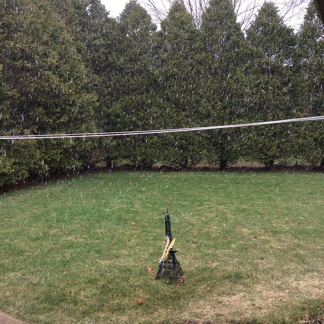 Spring, Did You Hear My Call?