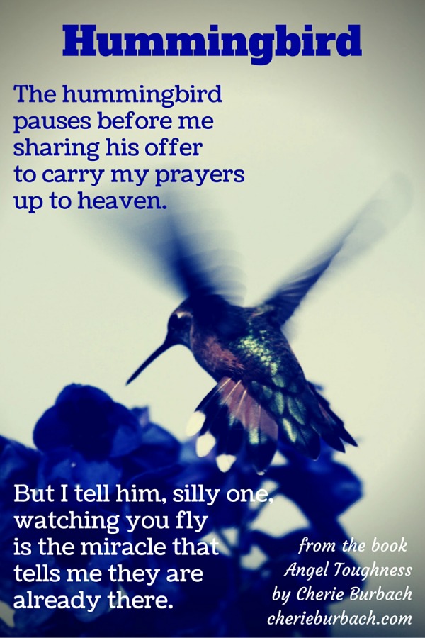 Hummingbird