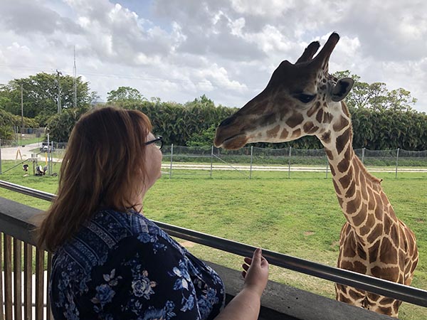 And Then I Got to Feed a Giraffe
