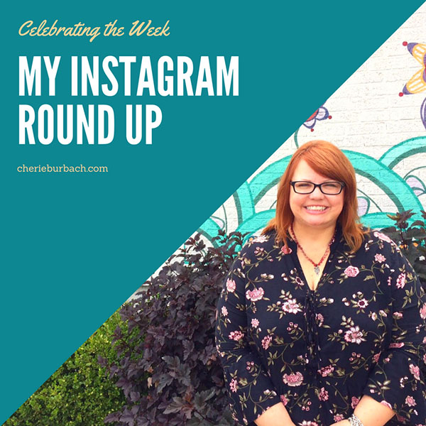Your Wild and Precious Life – My Instagram Roundup