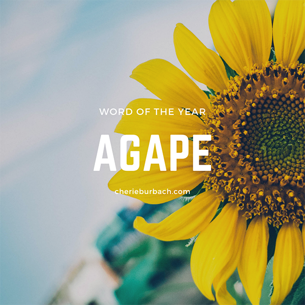 Turning the Focus to Agape Love