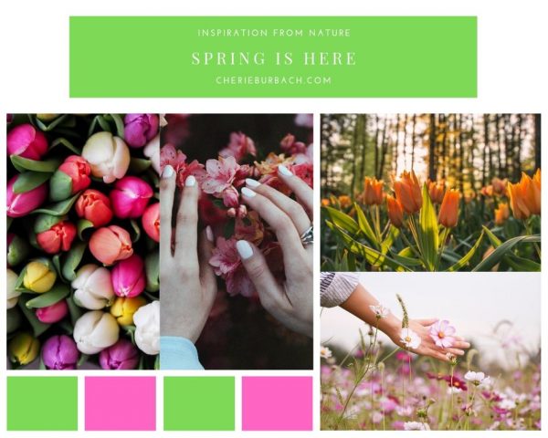 Inspiration From Spring