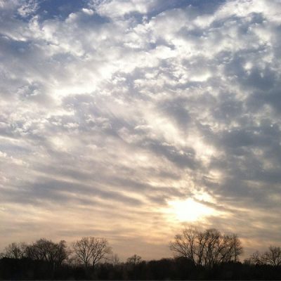 The Beauty of the Morning