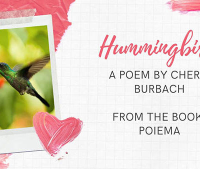 The Miracle of a Hummingbird’s Flight
